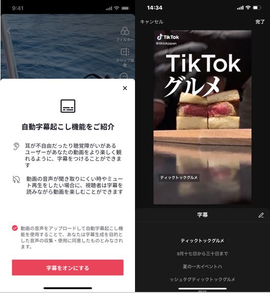 TikTok 字幕機能