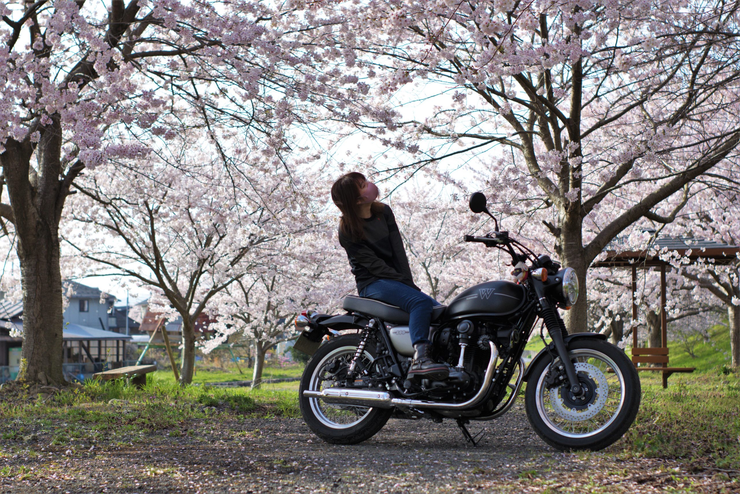 21歳で日本縦断を達成したバイク系youtuber Mi Rider 事故を経験し今後は 安全をアピールしたい らいばーずワールドらいばーずワールド