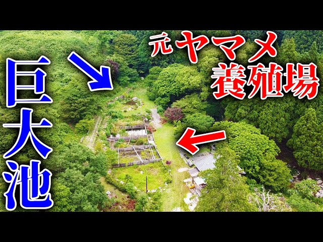 佐賀よかでしょう・
