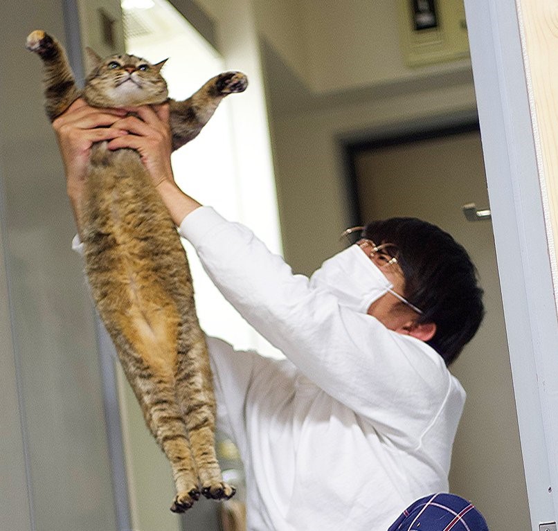 ひゃくえんさんと茶々さん