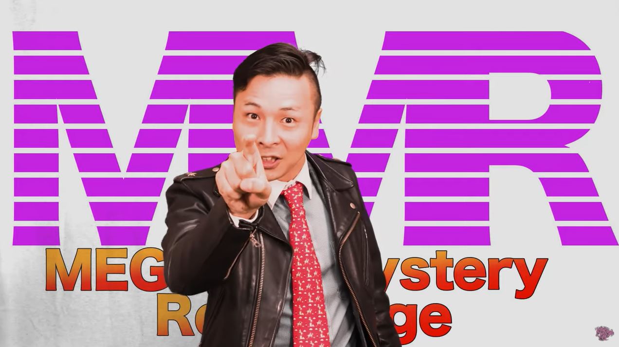 MEGWIN、FX自動売買システム動画を削除へ 引き受けた経緯も説明