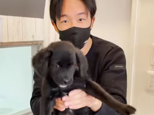 朝倉未来、YouTube収益40万円分の物資を動物愛護団体へ寄付
